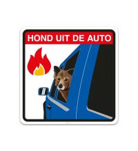HBP_04 Hond uit auto