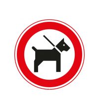 HBV_02 Honden aangelijnd
