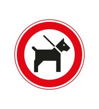 HBV_02 Honden aangelijnd