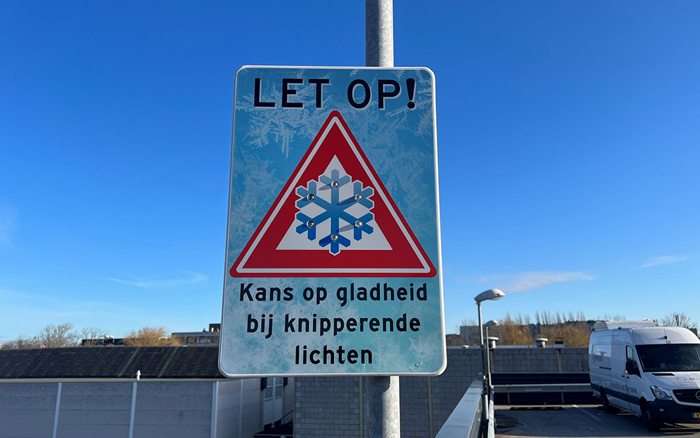 Ice Guardian